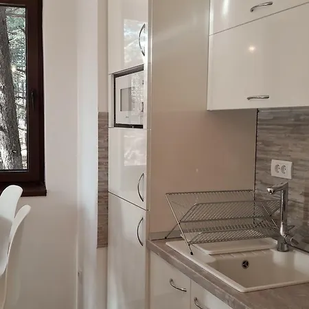 Wood Apartman Zlatibor