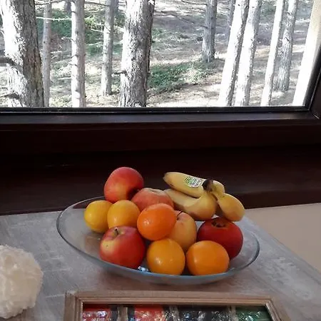 Wood Apartment Zlatibor