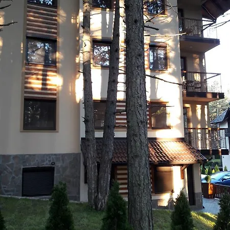 Wood *