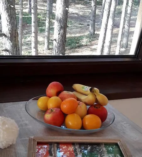 Wood Apartment Zlatibor